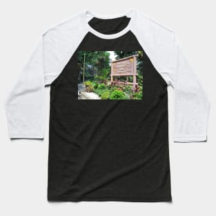 alligators and crocodiles, carlson imagery, carlson, carlsonimagery4u, nature, wildlife, watercolor, alligator, crocodile, crocodilian, brown, gray, estes, park, colorado Baseball T-Shirt